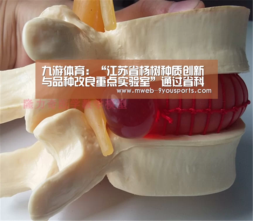 九游体育
