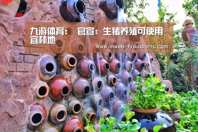 九游体育