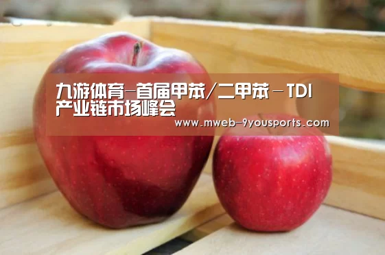 九游体育-首届甲苯/二甲苯-TDI产业链市场峰会(图2) 九游体育